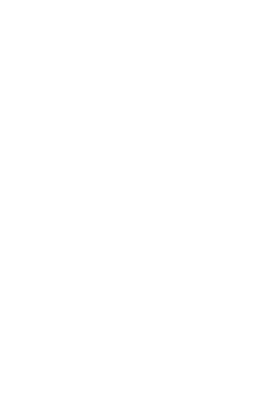 Logo Angry Studio